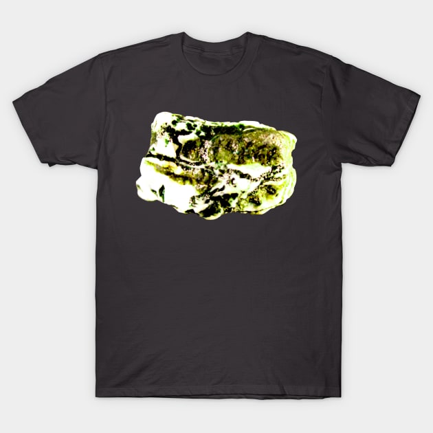 Moss Agate T-Shirt by Art of V. Cook